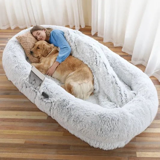 Woman napping with her golden retriever on the human dog bed