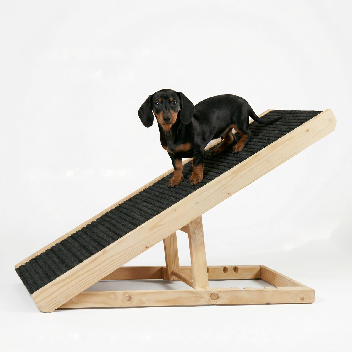 Dachshund standing on a natural wood dog ramp with gray anti-slip carpet