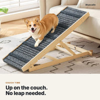Corgi walking down the dog ramp from a couch