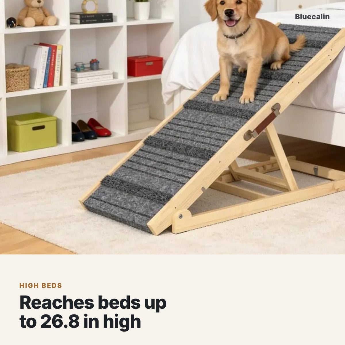 Puppy sitting on the dog ramp set against a high bed