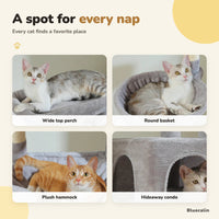 Cats resting on the top perch, basket, hammock and condo