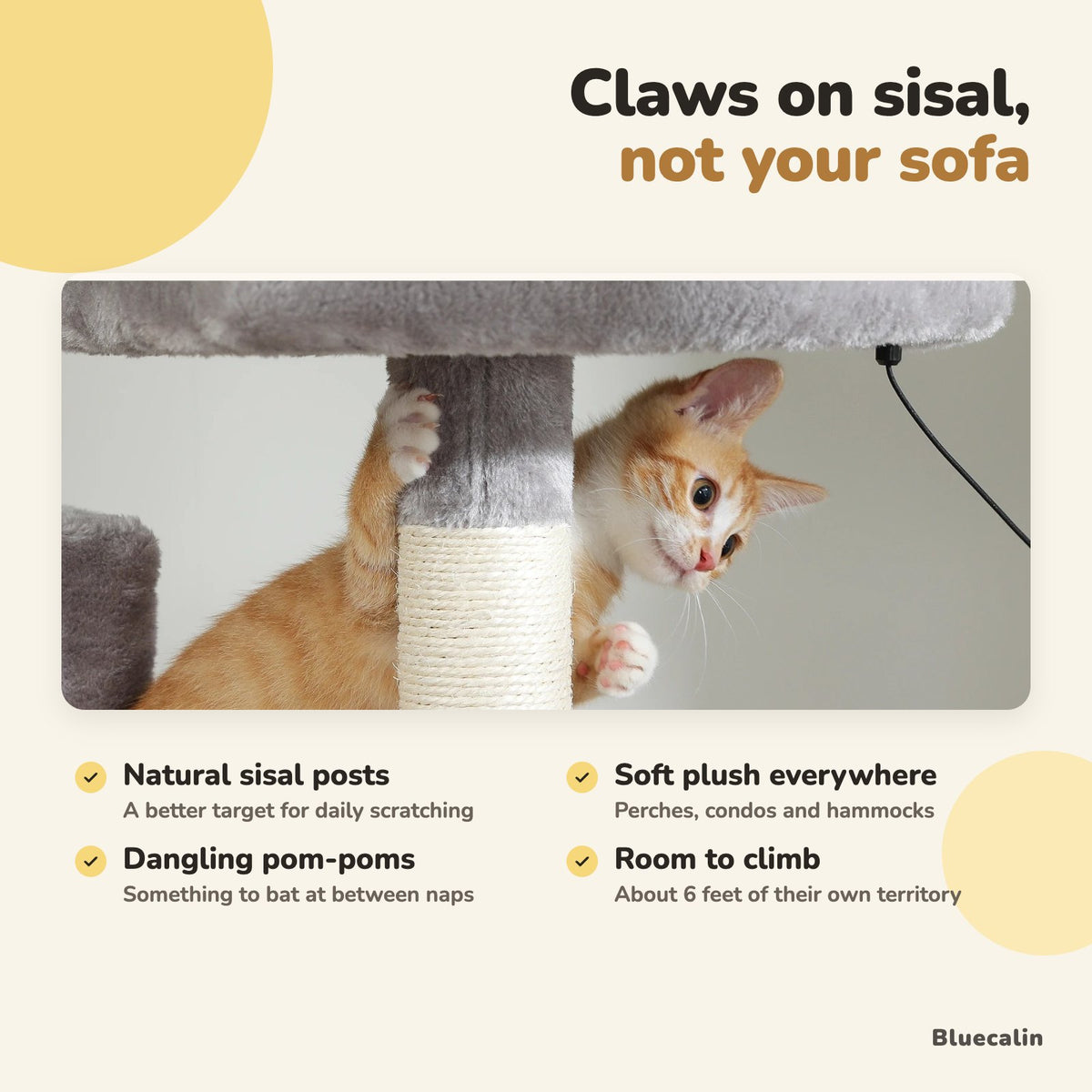 Kitten scratching a natural sisal post