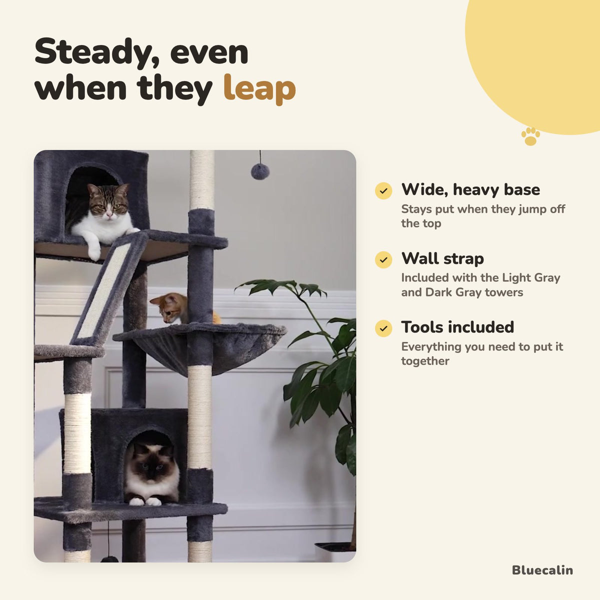 Cats in the dark gray cat tree with a wide base