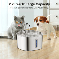Cat and puppy with the 2.2 L water fountain