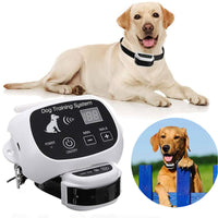 Wireless dog fence with rechargeable training collar