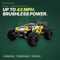 BlueBolt brushless 4x4 RC car, up to 43 mph