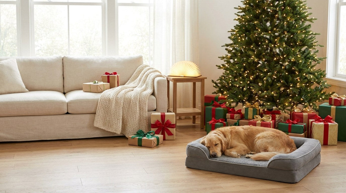 Golden retriever asleep on a gray couch dog bed by a Christmas tree, with a glowing book lamp and wrapped gifts