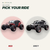 BlueDune RC desert buggy in red and grey