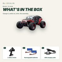 What is in the box: RC buggy, remote, 2 batteries, USB charging cable