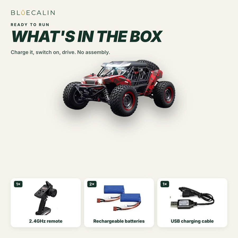 What is in the box: RC buggy, remote, 2 batteries, USB charging cable