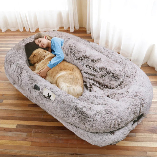 Human size dog bed in gray with a woman and golden retriever