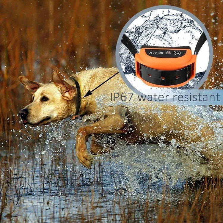 Wireless dog fence with rechargeable training collar