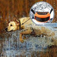 Wireless dog fence with rechargeable training collar